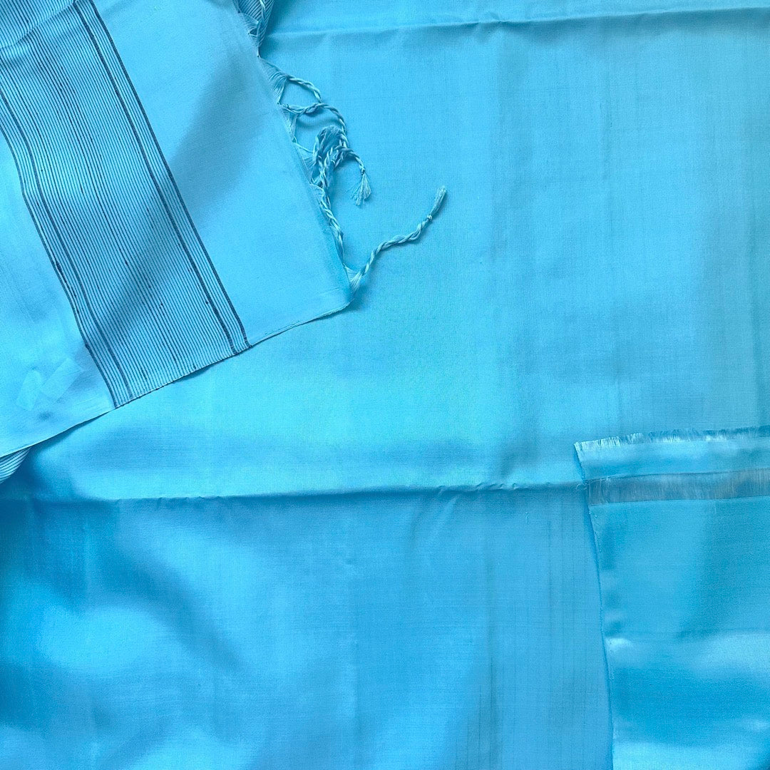 Nalina Blue Soft Silk Saree - SSD17