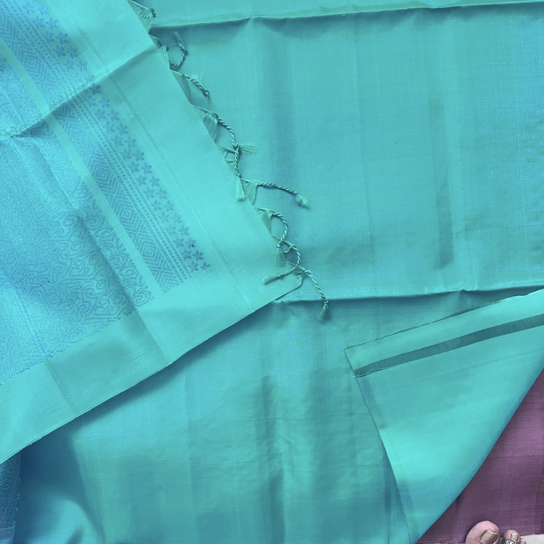 Nalina MauvePink Soft Silk Saree - SSD08